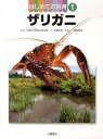 はじめての飼育（1） ザリガニ 東京学芸大学附属小金井小学校