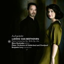 【輸入盤】ヴァイオリン協奏曲(ピアノ版)、ピアノ協奏曲第4番 ニーノ・グヴェタッゼ、バンジャマン・レヴィ&フィオン管弦楽団 [ ベートーヴェン(1770-182...