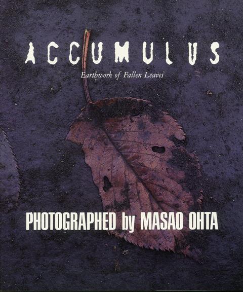 【バーゲン本】ACCUMULUS