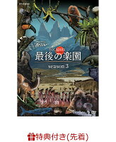 【先着特典】NHKスペシャル ホットスポット 最後の楽園 season3DVD-BOX(A4クリアファイル)