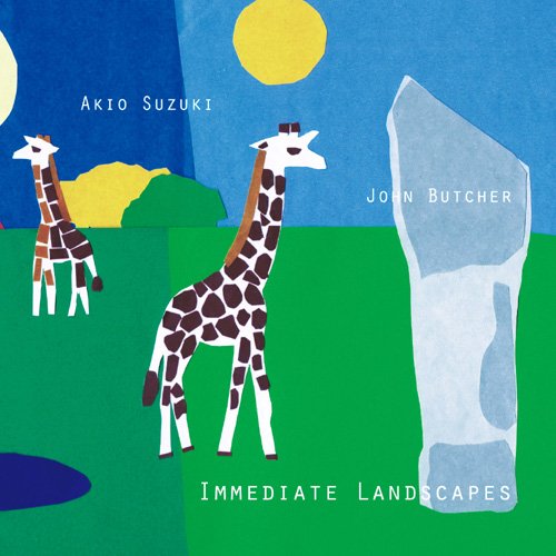 Immediate Landscapes
