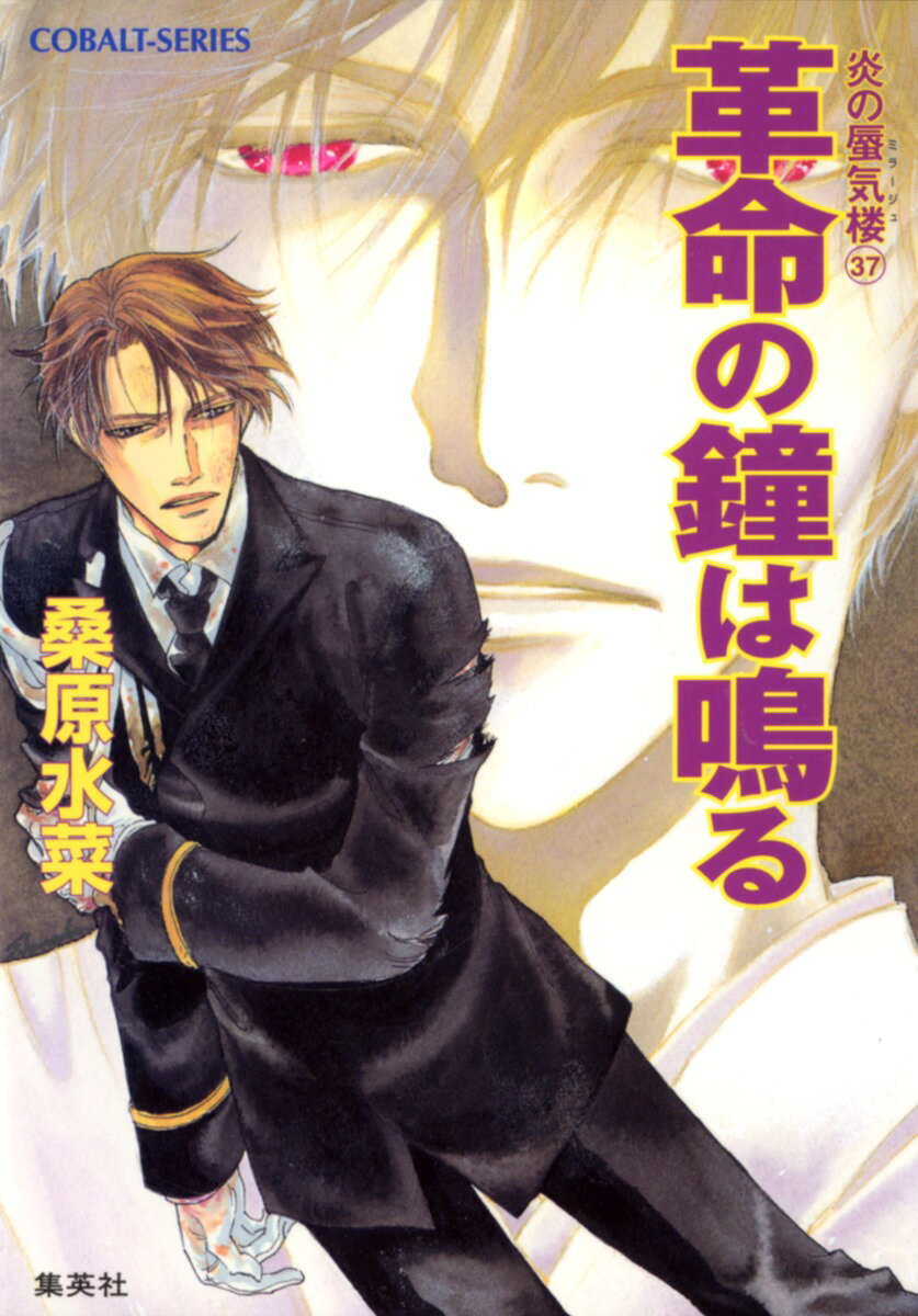 炎の蜃気楼（ミラージュ）（37）