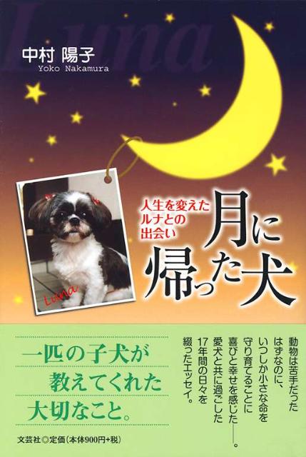 月に帰った犬