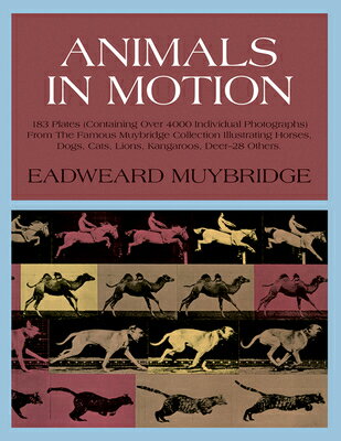 ANIMALS IN MOTION(H)