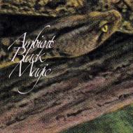 【輸入盤】Ambient Black Magic