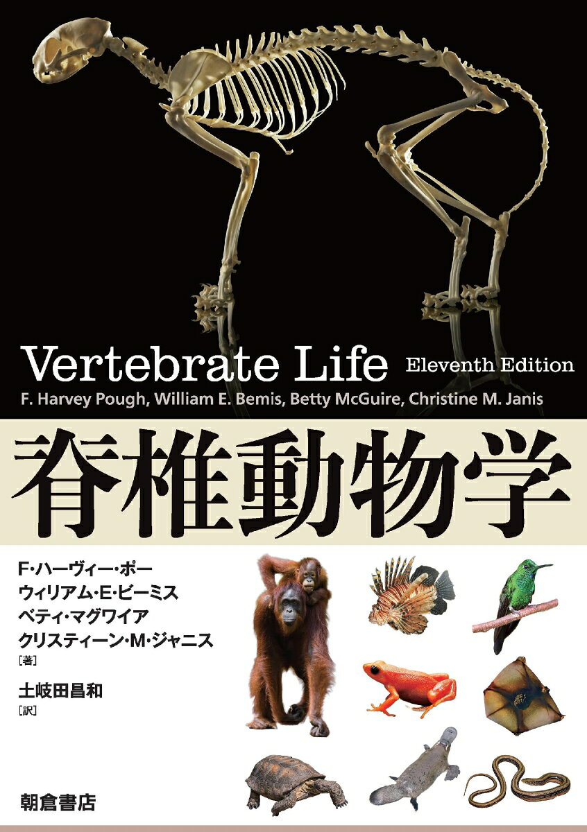 脊椎動物学