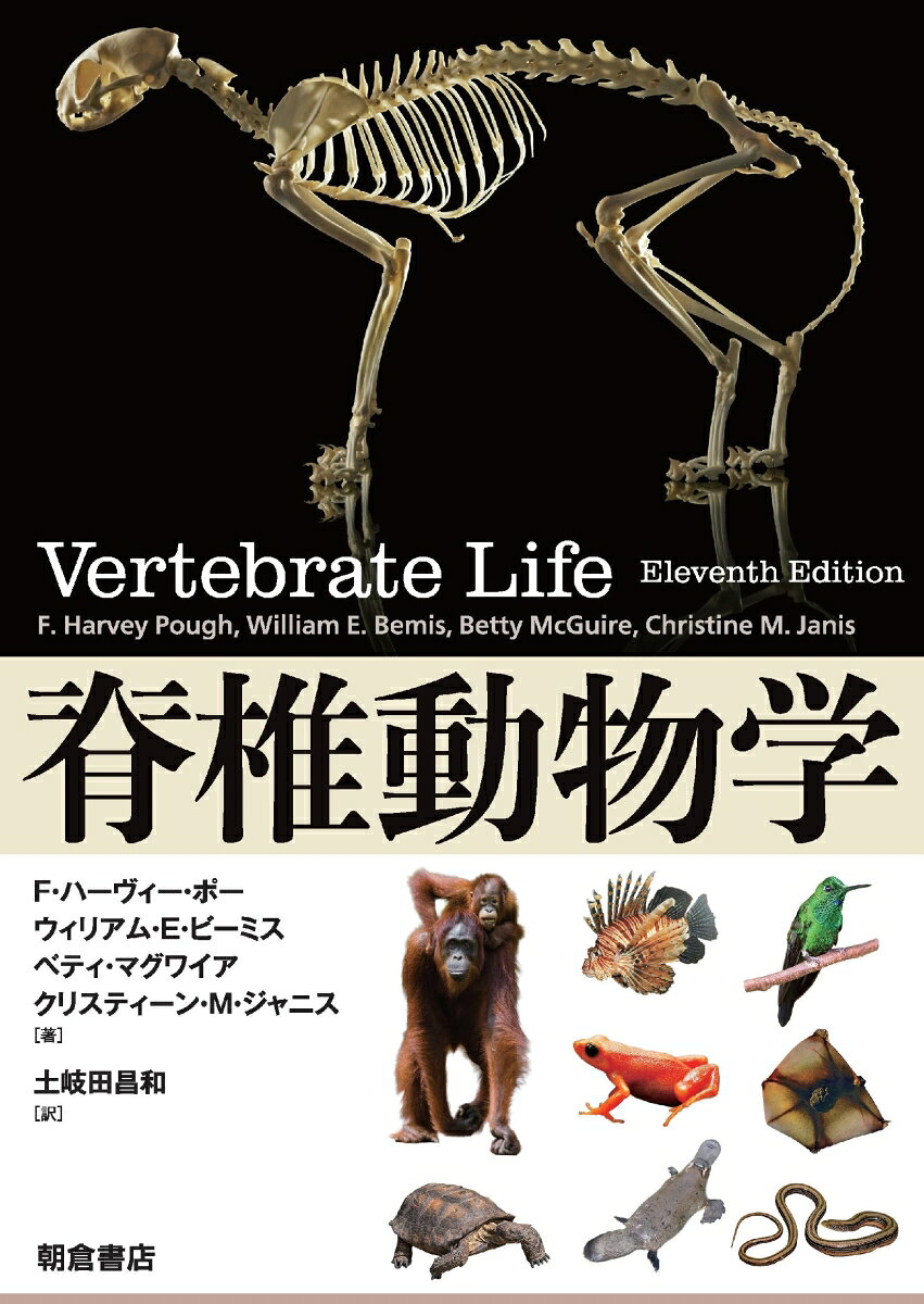 脊椎動物学