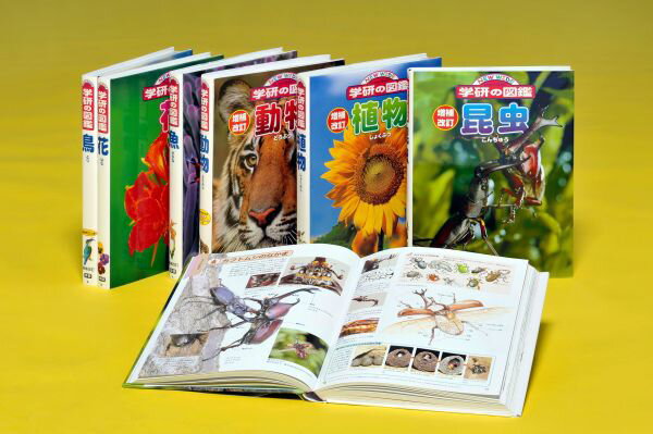 �˥塼�磻�ɳظ��ο޴տ�A���åȡ���6����