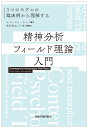 精神分析フィールド理論入門 S．モンタナ カッツ