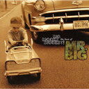 ザ・ベスト・オブ・MR.BIG [ MR.BIG ]