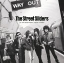 On The Street Again -Tribute & Origin- [ The Street Sliders & Various ]