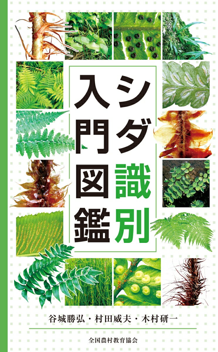 楽天市場】シダ 図鑑の通販 楽天市場】シダ 図鑑の通販