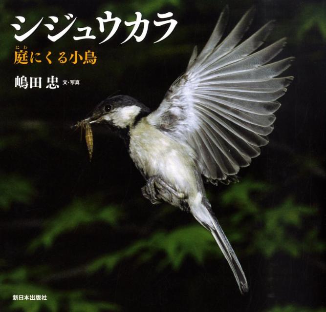 シジュウカラ 庭にくる小鳥 （日本の野鳥） [ 嶋田忠 ]