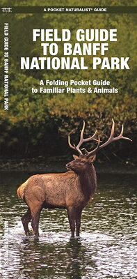 Familiar species, common plants, and natural phenomena are introduced in these beautifully illustrated guides to nature and the outdoors. Printed on laminated, water-resistant paper in a folded format, Pocket Naturalist(R) Guides are highly durable for use in the field as each title provides a portable reference to a variety of mammals, birds, reptiles, amphibians, fishes, butterflies, and insects. Nature enthusiasts, from the ultimate beginner to the seasoned explorer, will relish the abundance of detailed information packed within these handheld guides. Such familiar wildlife species as the common raven, the grizzly bear, and the elk are included in this beautifully illustrated collection of more than 130 birds, mammals, trees, and wildflowers found in Banff National Park. Including an area map of the park, this handy reference is an ideal source of portable information for nature lovers and visitors to this Rocky Mountain region.