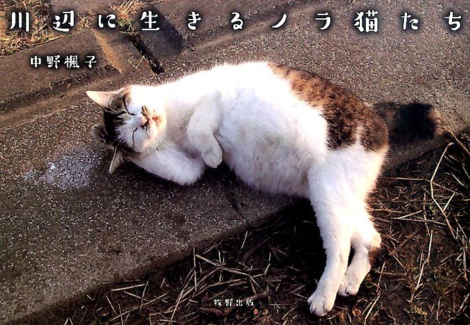 自由にのびのび。でも、ときに切ない。ノラ猫たちの生命が溢れたフォトエッセイ。