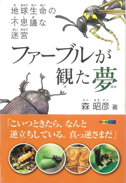 【バーゲン本】ファーブルが観た夢