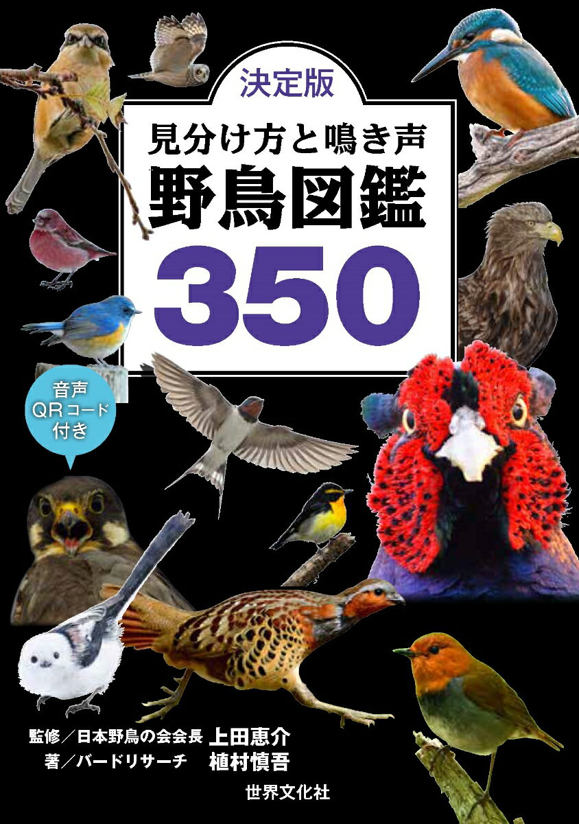 決定版 見分け方と鳴き声 野鳥図鑑350 音声QRコード付き （0） 日本野鳥の会会長 上田恵介