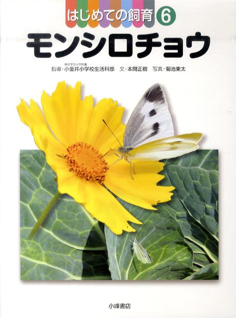 はじめての飼育（6） モンシロチョウ [ 東京学芸大学附属小