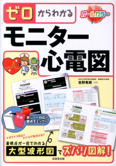 まずドコ見る？ドコで見分ける？着眼点が一目でわかる大型波形図でズバリ図解！