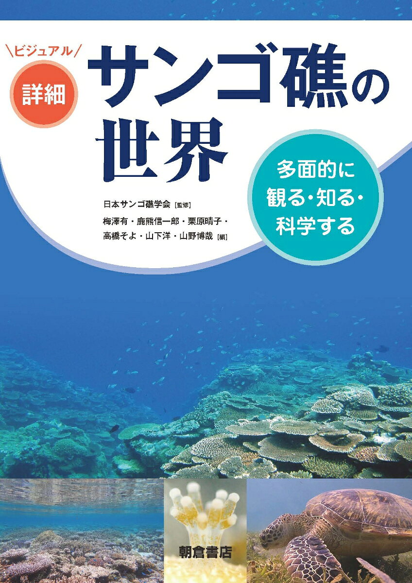 ビジュアル詳細 サンゴ礁の世界