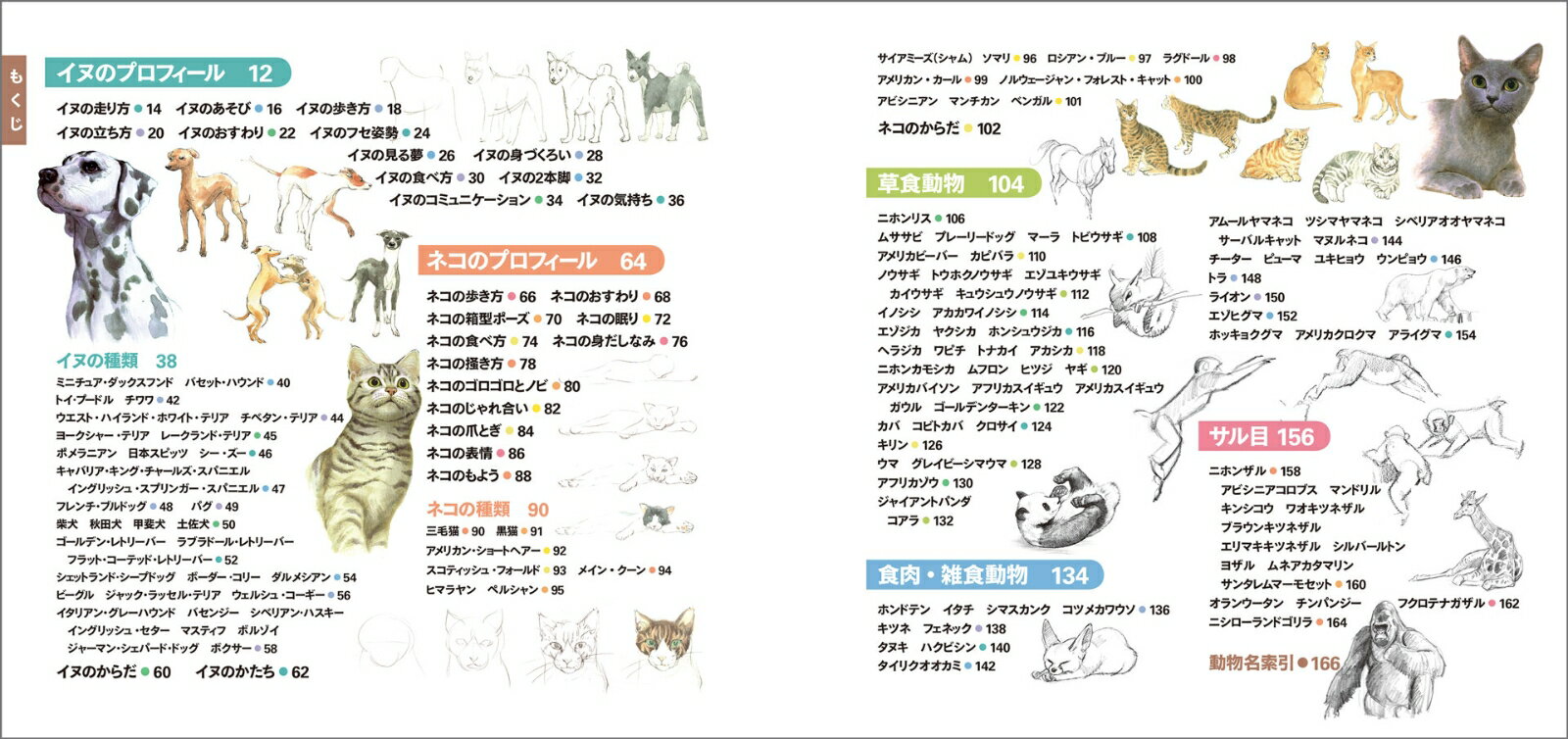 thum2