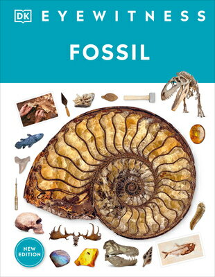 Fossil FOSSIL （DK Eyewitness） [ Paul David Taylor ]