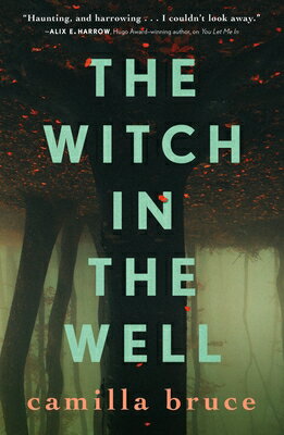 The Witch in the Well WITCH IN THE WELL [ Camilla Bruce ]