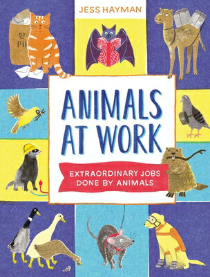 Animals at Work ANIMALS AT WORK [ Jess Hayman ]