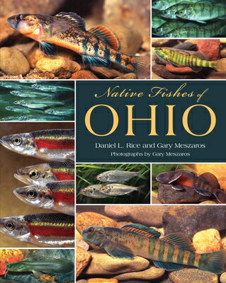 Native Fishes of Ohio NATIVE FISHES OF OHIO [ Rice ]