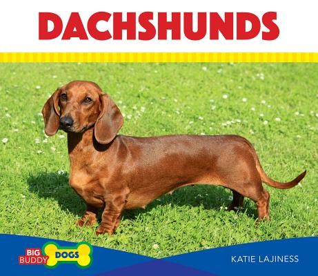 Dachshunds DACHSHUNDS （Big Buddy Dogs） 