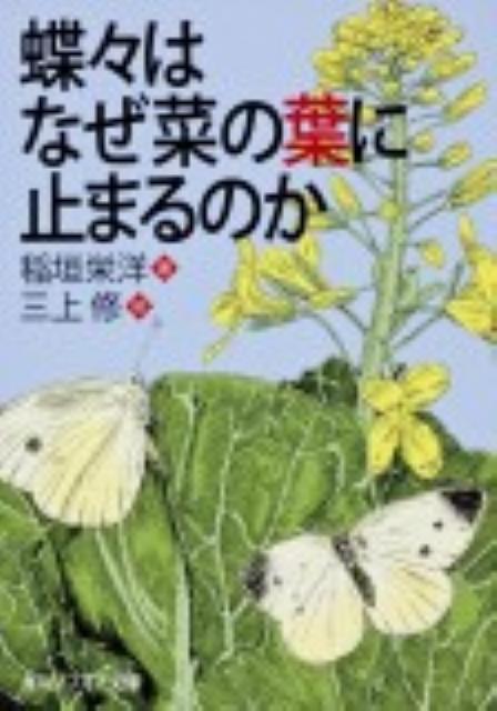 蝶々はなぜ菜の葉に止まるのか