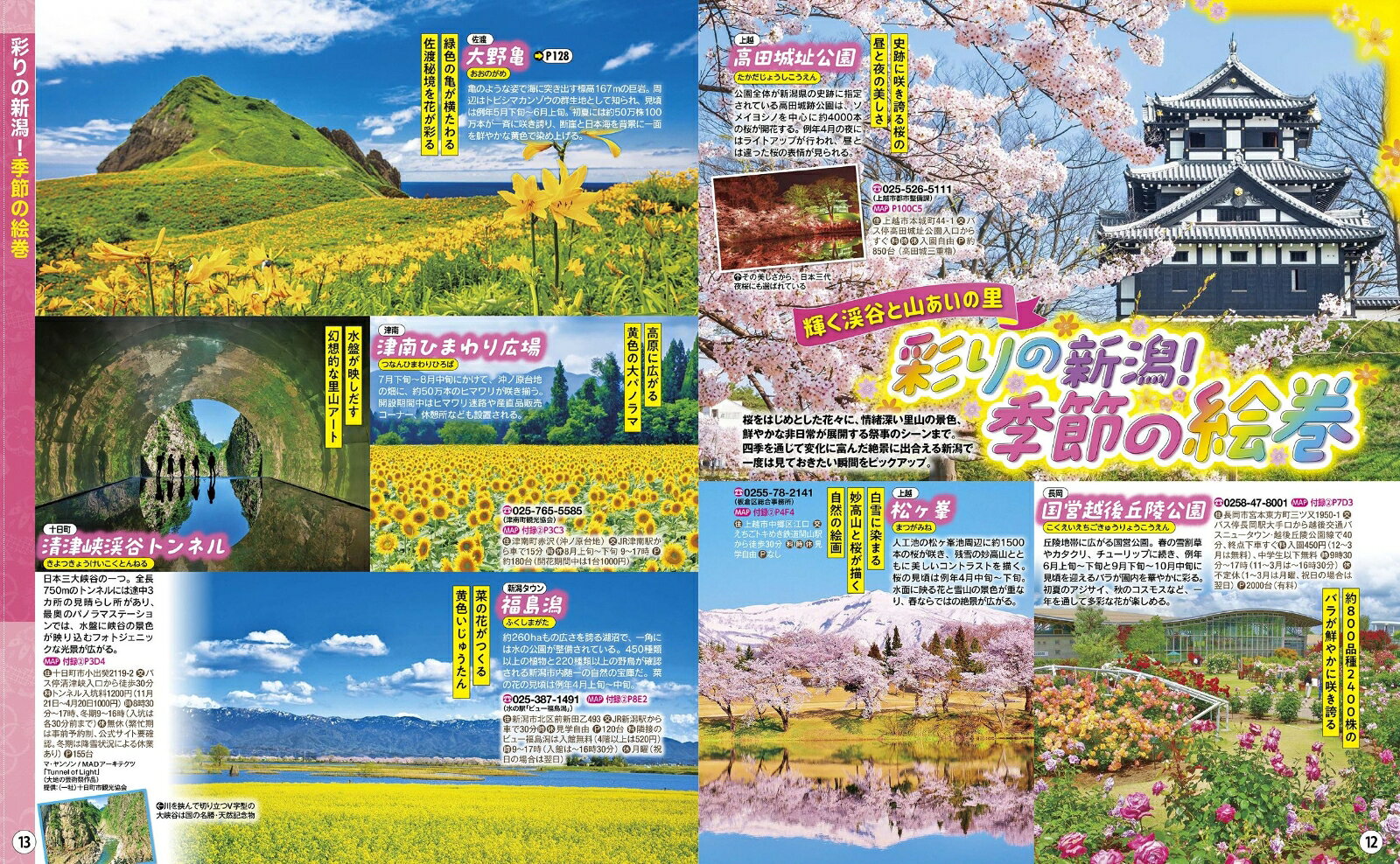 るるぶ 新潟 佐渡 '27 超ちいサイズ （るるぶ情報版） [ JTBパブリッシング 旅行ガイドブック 編集部 ] book-21886255 楽天ブックス サンプル画像3