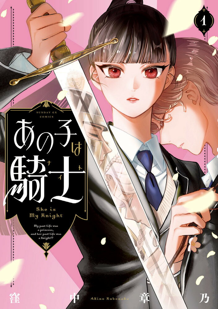 魂がキュンとする、前世ラブコメディ！ 

 姫宮勝利には子供の頃からよく見る夢がある。それは中世風の世界で騎士が姫を守る夢。「自分は騎士だったのかな」と思っていたが、高校の入学式で同級生の岸朝子に出会い、わかってしまった。

自分の前世が姫で、彼女の前世が騎士だということを。

新鋭が描く、前世ラブコメディ！
