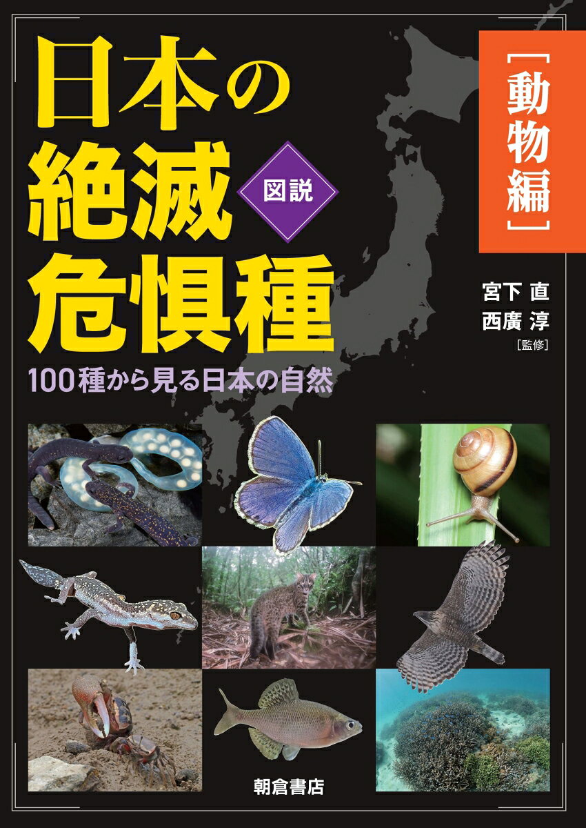 図説日本の絶滅危惧種【動物編】 : 100種から見る日本の自然 書影
