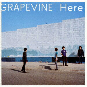 Here [ GRAPEVINE ]