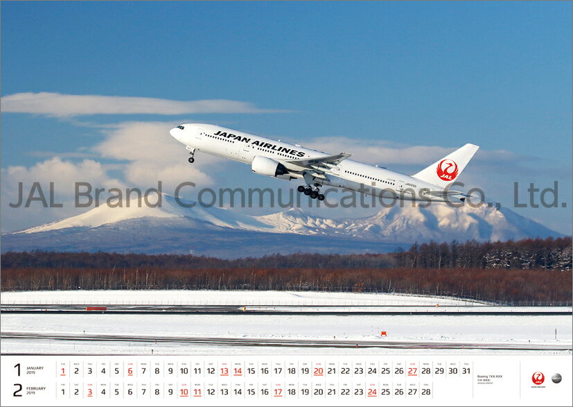 JAL「FLEET」（大型判）（2019年1月始まりカレンダー）
