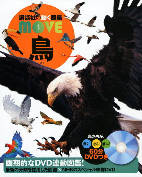 講談社 講談社の動く図鑑MOVE 鳥 （講談社の動く図鑑MOVE） [ 講談社 ]