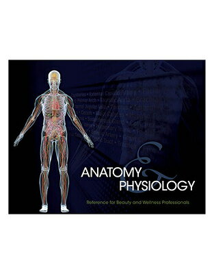 Milady's Student Reference for Anatomy and Physiology has been revised and expanded. This all-new edition includes more comprehensive coverage of the various body systems as well as brief descriptions of each system to increase understanding of the system's function. This must-have reference for the beauty and wellness student includes cross sections and multiple views of eleven main body systems. This is the perfect addition to any cosmetology, barbering, nail technology, esthetics or massage therapy student's study materials.