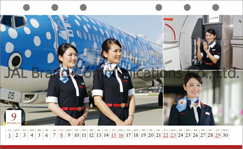 JAL「CABIN ATTENDANT」（卓上判）（2019年1月始まりカレンダー）