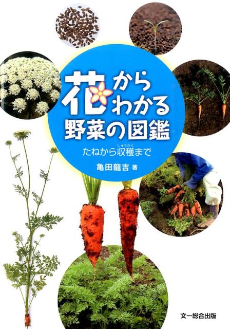 花からわかる野菜の図鑑