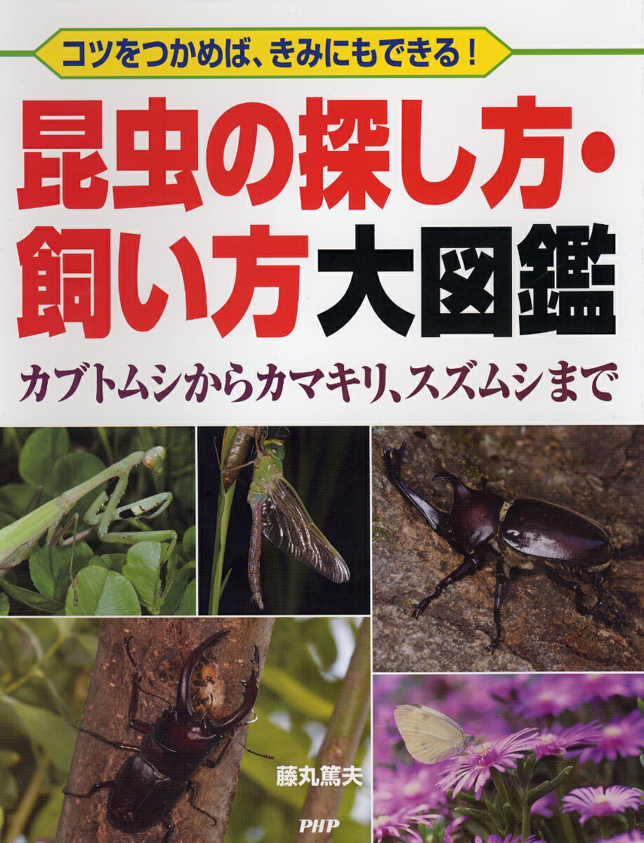 コツをつかめば、きみにもできる！ 昆虫の探し方・飼い方大図鑑