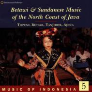 【輸入盤】Music Of Indonesia 5 Betawi And Sundanese Music Of Java