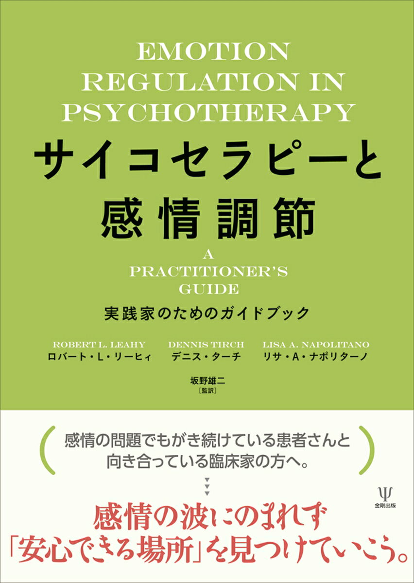 サイコセラピーと感情調節 : 実践家のためのガイドブック 書影