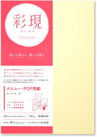 PCM竹尾 プリンタ用紙 彩現 メニュー・POP用 A4 マーメイド 白 1742124