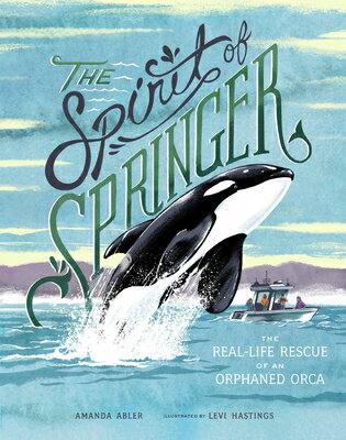 The Spirit of Springer: The Real-Life Rescue of an Orphaned Orca (Whale Books for Kids) SPIRIT OF SPRINGER [ Amanda Abler ]
