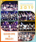 Hello! Project COUNTDOWN PARTY 2019 ～GOOD BYE & HELLO!～【Blu-ray】 [ ハロー!プロジェクト ]