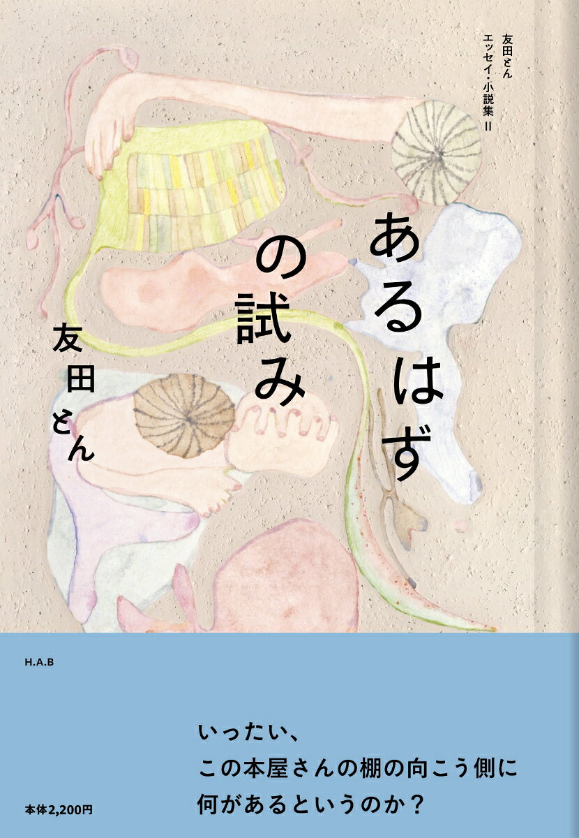 あるはずの試み