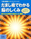 だまし絵でわかる脳のしくみ 遊びながら体験する脳のスゴい機能 （子供の科学 サイエンスブックス） 竹内龍人