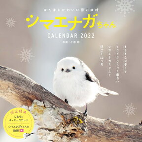 まんまるかわいい雪の妖精シマエナガちゃんCALENDAR（2022） （［カレンダー］）