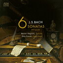 リコーダーとチェンバロによる J.S.バッハ:6つのソナタ BWV 525-BWV 530 